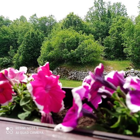 Vikendica Njegusi Villa Cetinje Bagian luar foto