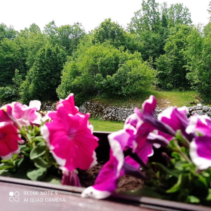Vikendica Njegusi Villa Cetinje Bagian luar foto
