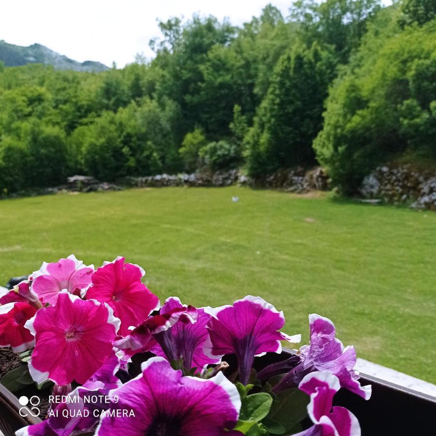 Vikendica Njegusi Villa Cetinje Bagian luar foto