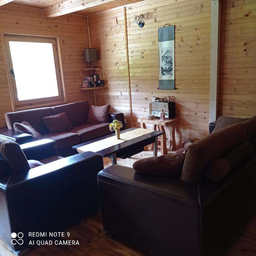 Vikendica Njegusi Villa Cetinje Bagian luar foto